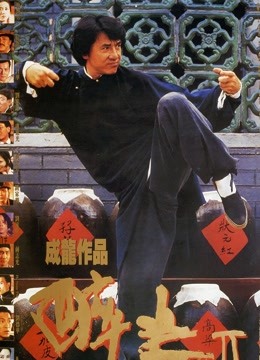 大醉拳封面图