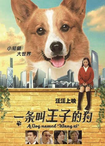 海报背景