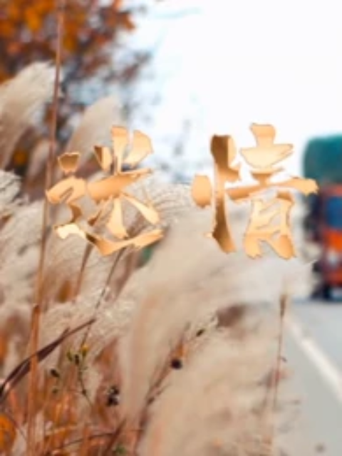 海报背景