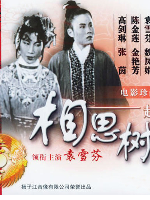 相思树封面图