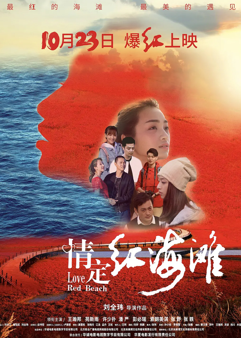 情定红海滩封面图