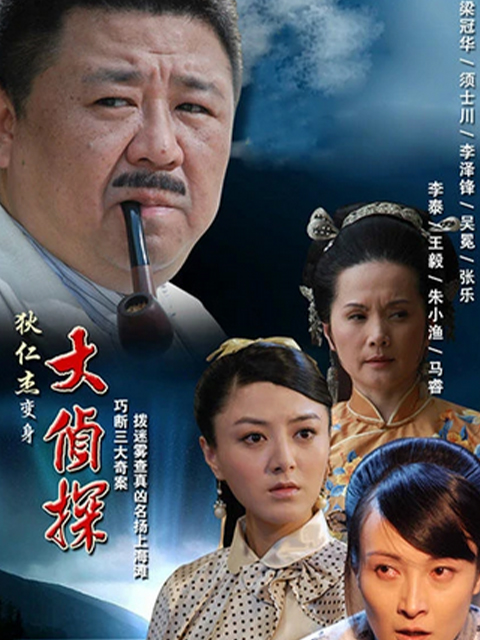 大侦探封面图