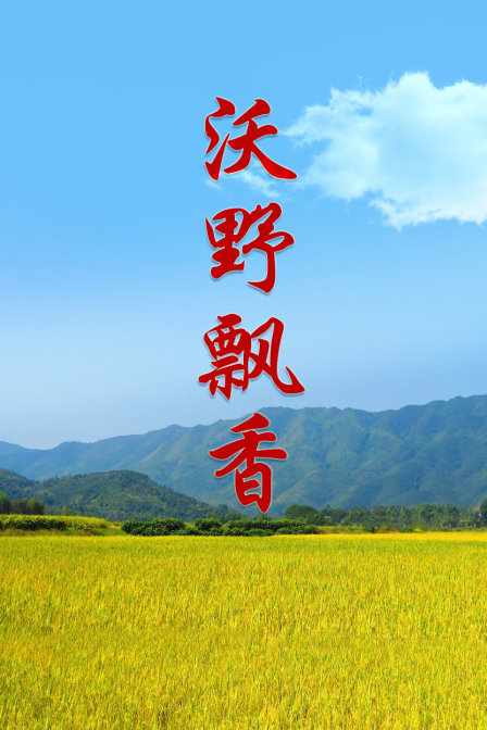 海报背景