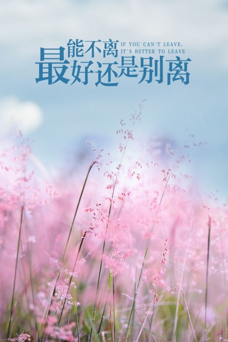海报背景
