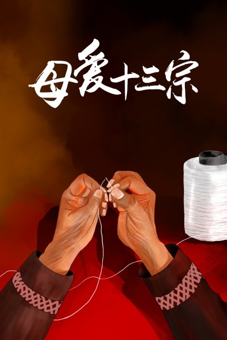 母爱十三宗封面图