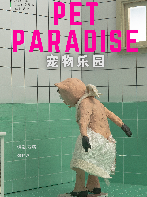 海报背景