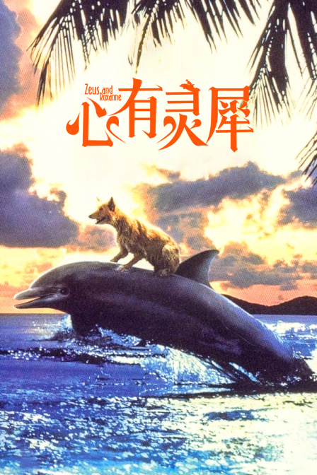海报背景