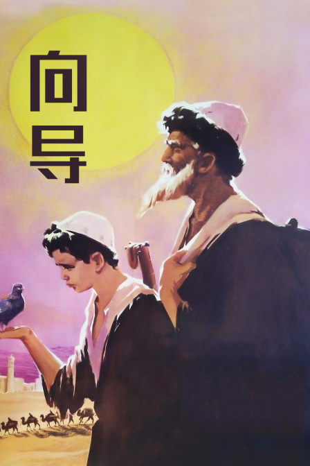 海报背景