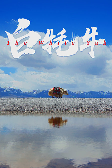 海报背景