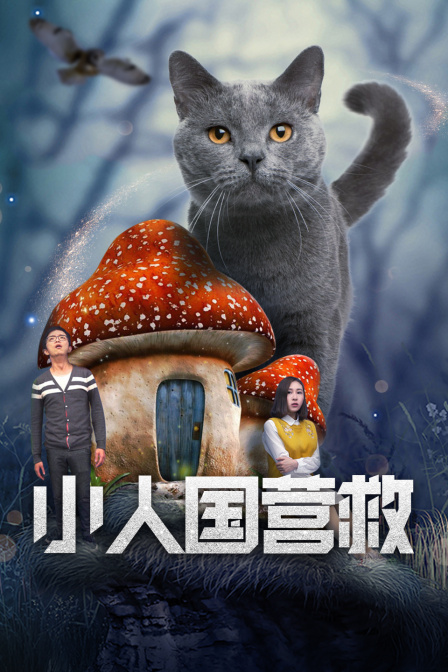 海报背景