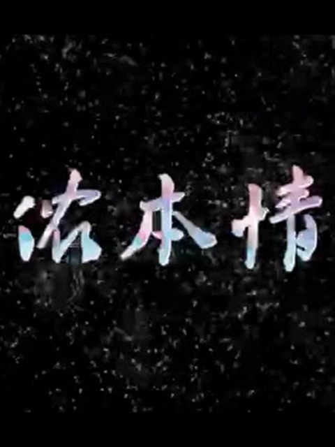 侬本情封面图