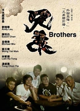 兄弟（2007）封面图