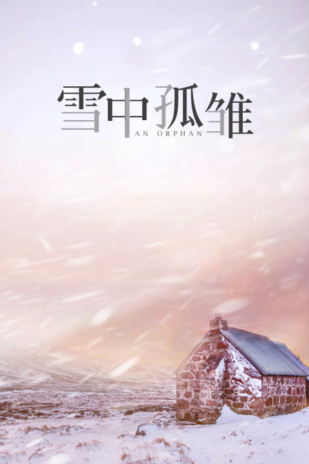 海报背景