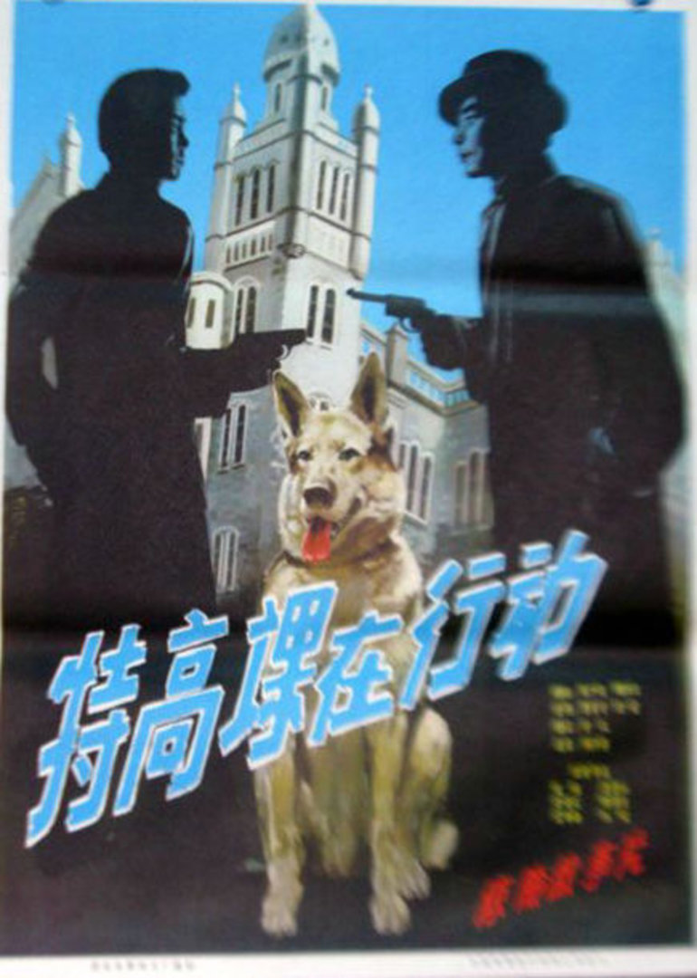 海报背景