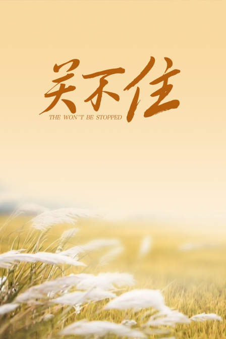 海报背景