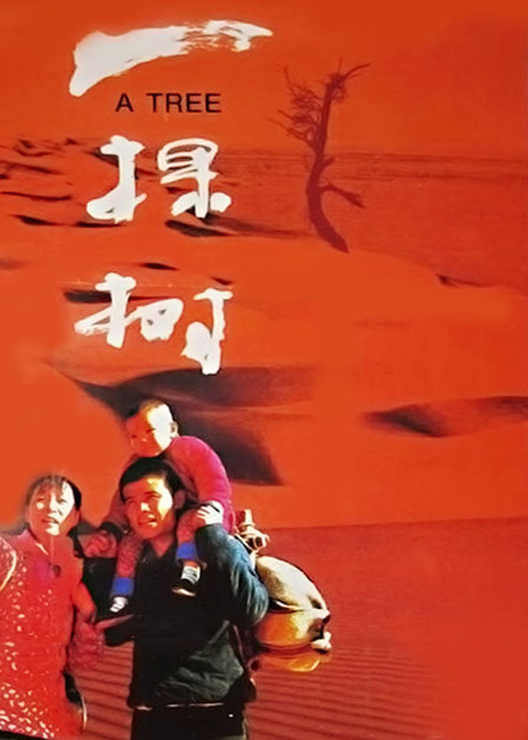 一棵树封面图