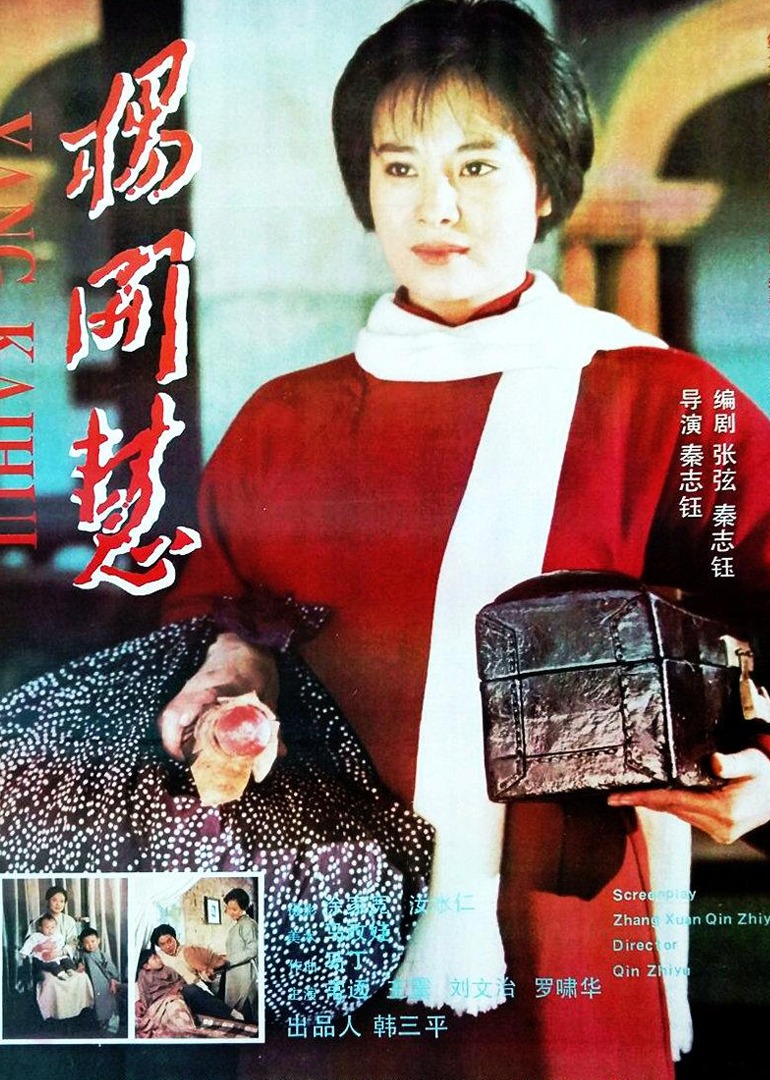 杨开慧封面图