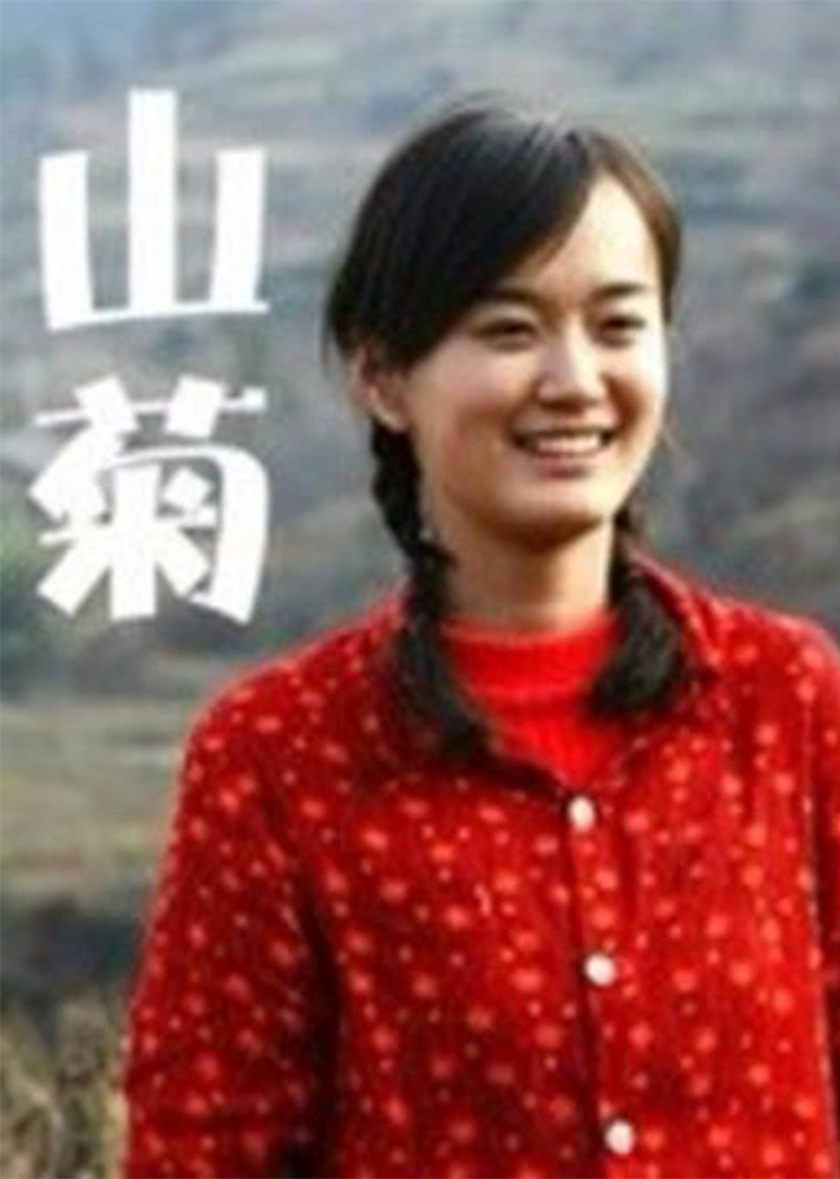 山菊封面图
