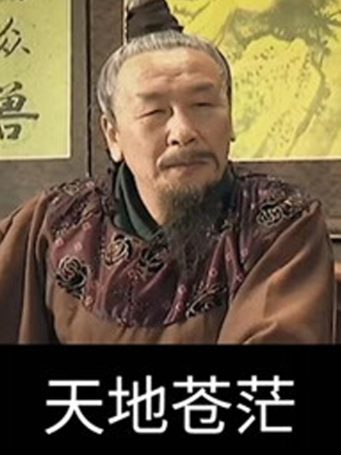 天地苍茫封面图