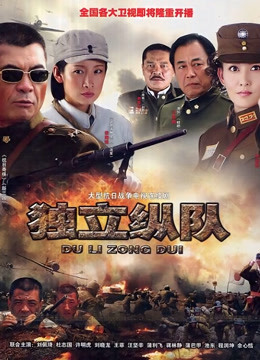 独立纵队封面图