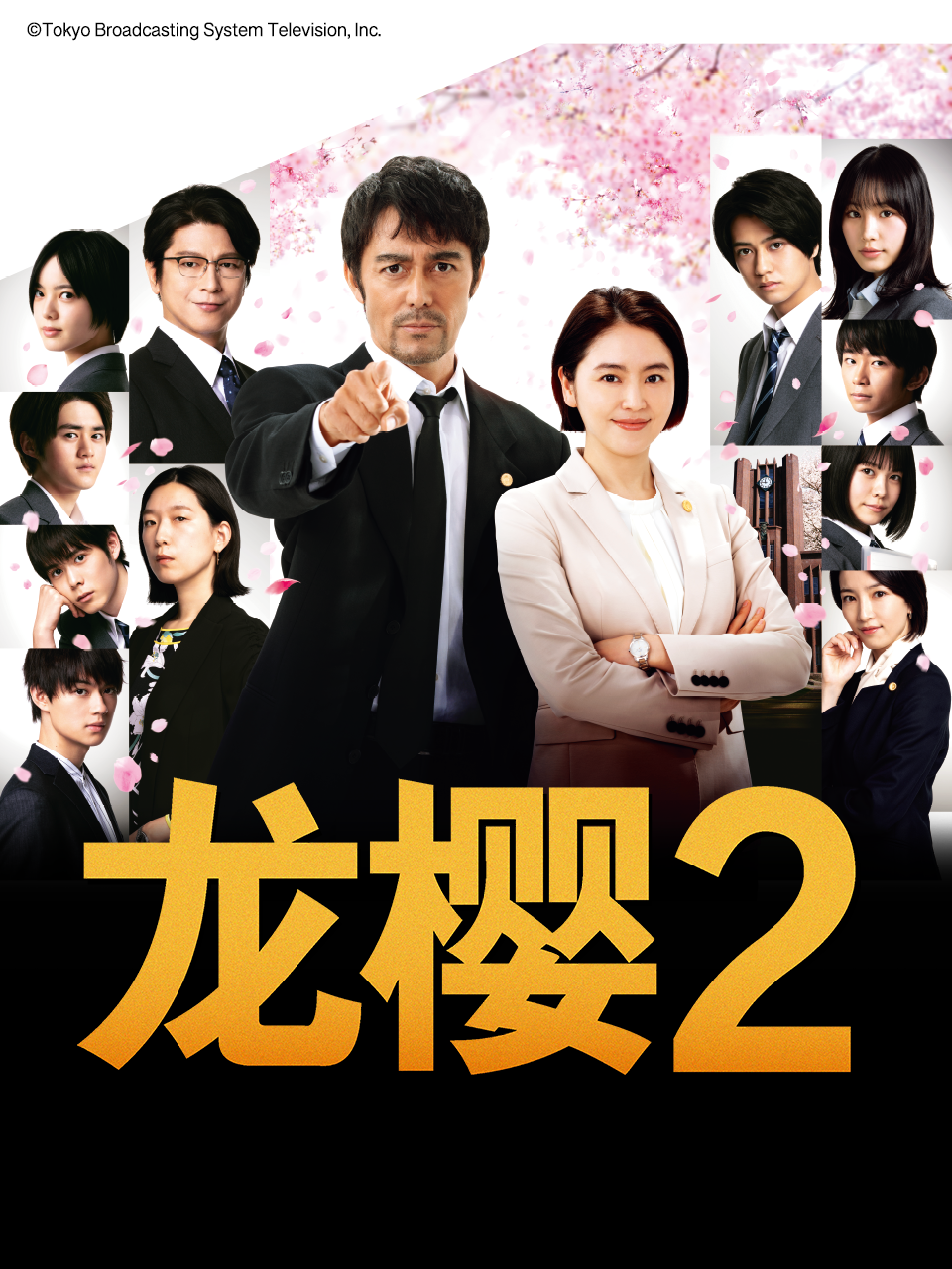 龙樱2封面图