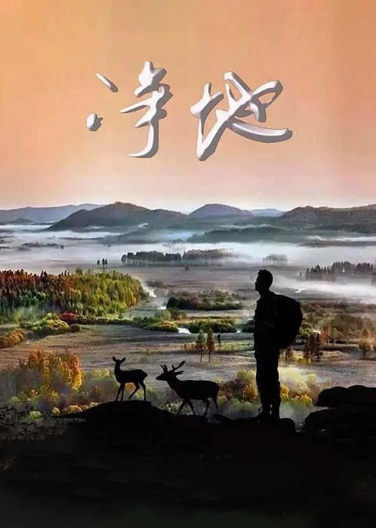 净地封面图