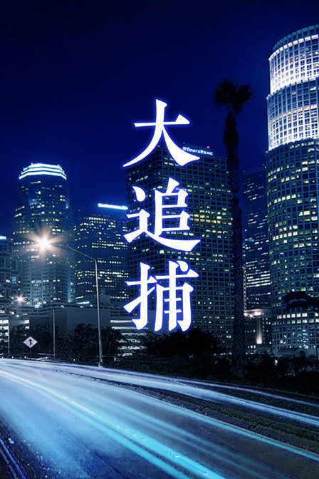 大追捕封面图