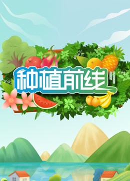 海报背景