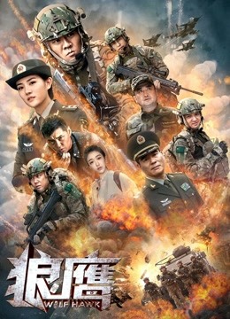 狼鹰封面图