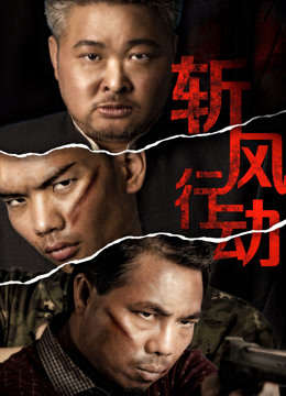 斩风行动封面图