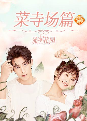 流星花园 菜寺场篇封面图