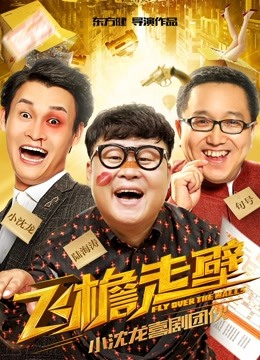 飞檐走壁封面图