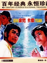 亲缘封面图