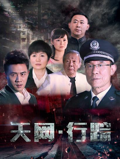 天网行踪封面图