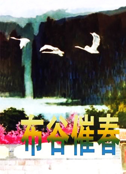 海报背景