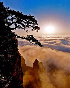 海报背景