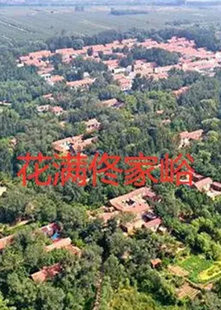 海报背景