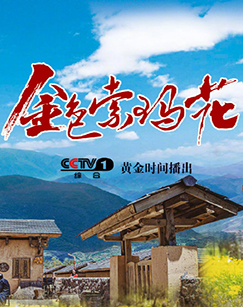 海报背景