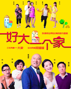 好大一个家封面图