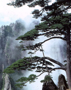 海报背景