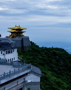 海报背景