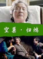 空巢归鸿封面图