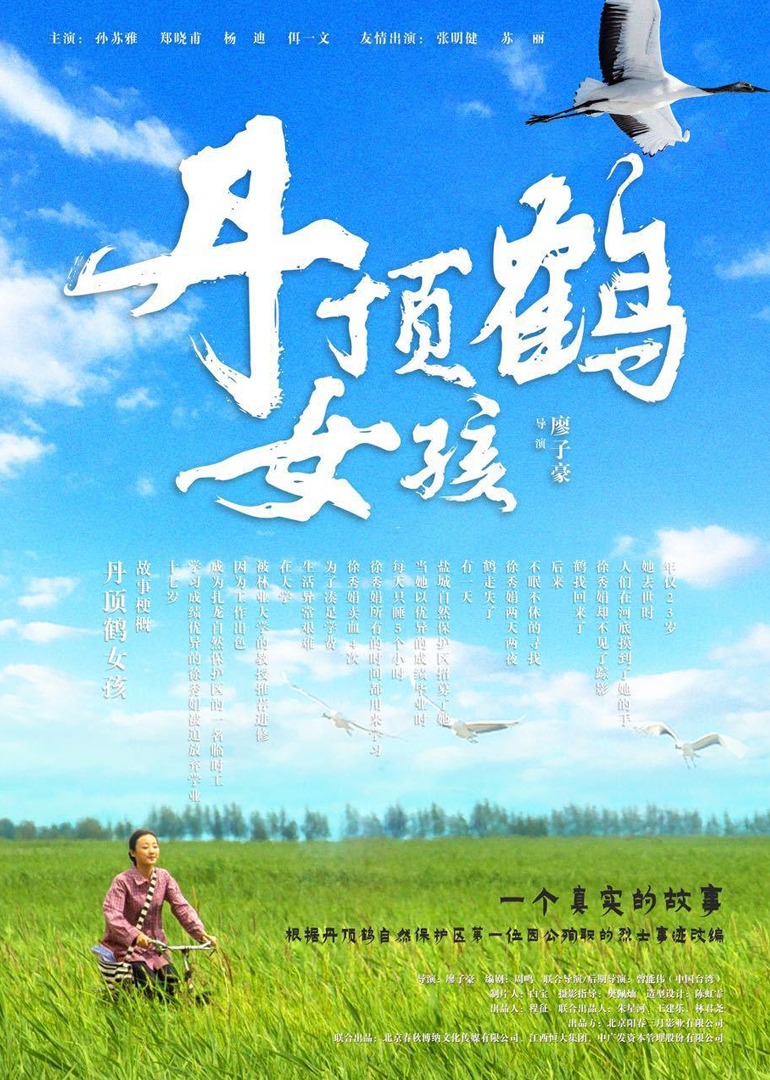 海报背景