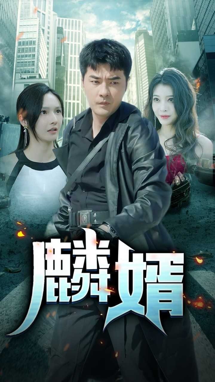 麟婿封面图
