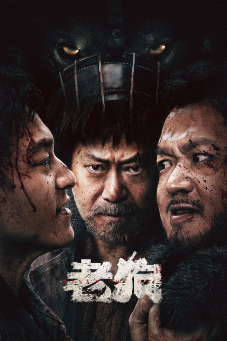 老狗封面图