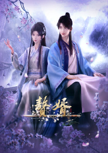 赘婿封面图
