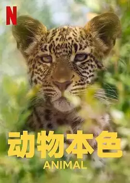 海报背景