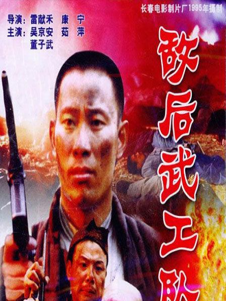 敌后武工队封面图
