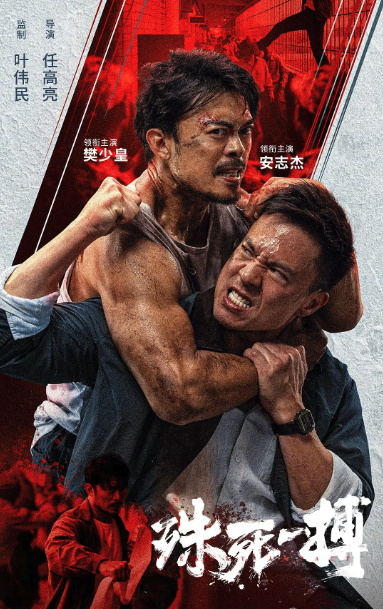 殊死一搏封面图