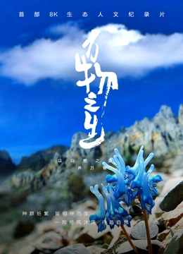 海报背景